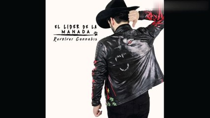 Los Duendes - Revolver Cannabis X Enigma Norteño