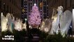 Iconic New York City Holiday Traditions