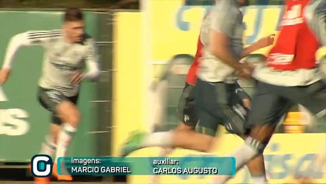 Treino do Palmeiras - 2805
