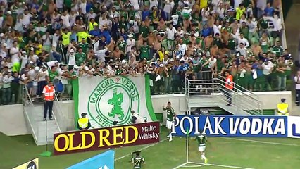 Após derrota, Palmeiras trabalha para se reabilitar no Paulista