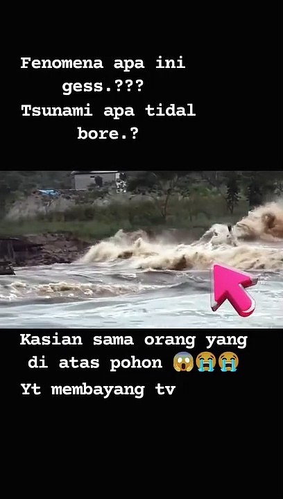Berita hari ini