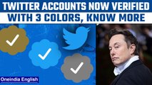 Elon Musk's twitter accounts are now verified with three colors | Oneindia News *International