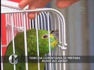 Fanático, torcedor do Corinthians passará lua de mel no Japão