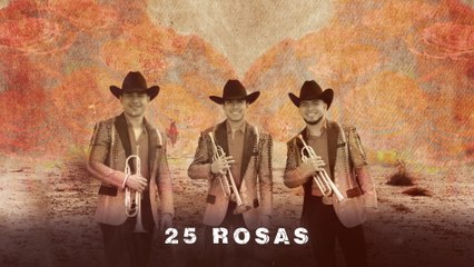 Cuarto De Milla - 25 Rosas