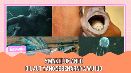 Berbahaya Dan Mengerikan, Ini 5 Haiwan Laut Aneh Yang Sebenarnya Wujud!