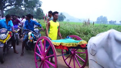 Pulimalaipatti 8 Miles race புலிமலைப்பட்டி பெரியமாடு