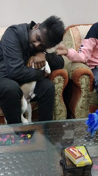 SO cute Hug for cute Beagle Puppy