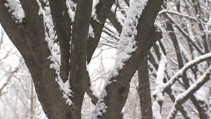 [날씨] 황사 기승...오후부터 추위 속 강한 눈 / YTN