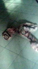 Jalan-Jalan Pusing: Hobi yang Seru