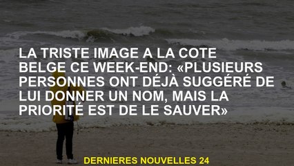 La triste image sur la côte belge ce week-end: "Plusieurs personnes ont déjà suggéré de lui donner u