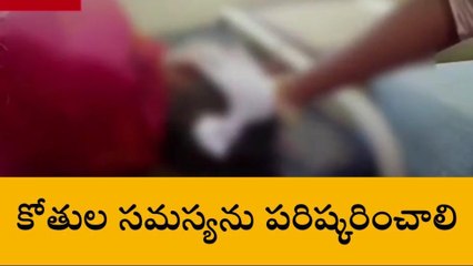 మంచిర్యాల: దారుణం.. కోతుల దాడిలో వ్యక్తికి గాయాలు
