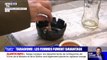Tabagisme: selon une étude de Santé publique France la consommation de tabac repart à la hausse