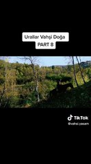 Urallar Vahşi Doğa - Part 8