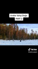 Urallar Vahşi Doğa - Part 2