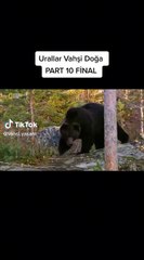 Urallar Vahşi Doğa - Part 10