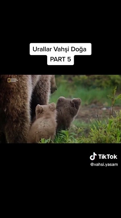 Urallar Vahşi Doğa - Part 5
