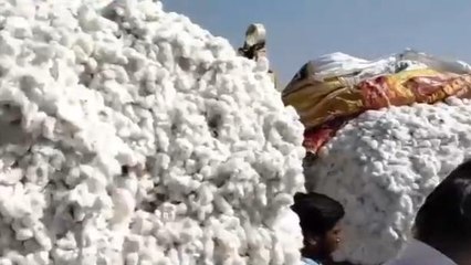 హుజురాబాద్: పత్తికి భలే గిరాకీ.. మురిసిన రైతన్న..!