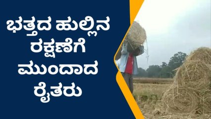 ಸೊರಬ: ಭತ್ತದ ಹುಲ್ಲಿನ ರಕ್ಷಣೆಗೆ ಮುಂದಾದ ರೈತರು - ಒಣ ಹುಲ್ಲಿಗೆ ಹೆಚ್ಚಿದ ಬೇಡಿಕೆ