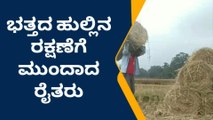 ಸೊರಬ: ಭತ್ತದ ಹುಲ್ಲಿನ ರಕ್ಷಣೆಗೆ ಮುಂದಾದ ರೈತರು - ಒಣ ಹುಲ್ಲಿಗೆ ಹೆಚ್ಚಿದ ಬೇಡಿಕೆ