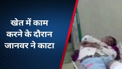 बागीदौरा: खेत में काम करते युवक को जहरीले जानवर ने काटा, देखिए अब कैसी हालत