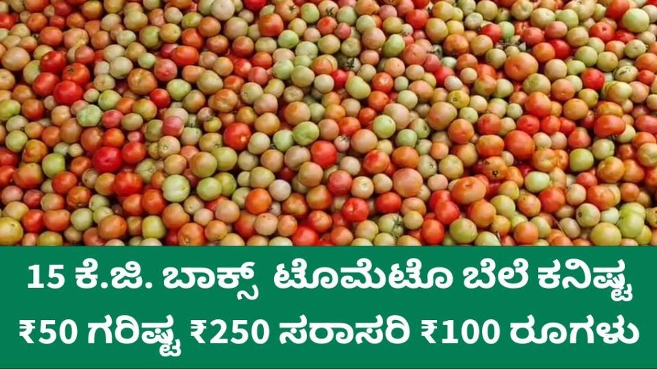 ಏರಿಕೆಯತ್ತ ಟೊಮೇಟೊ ಬೆಲೆ, ಇಂದಿನ ಧಾರಣೆ ಎಷ್ಟು ಗೊತ್ತಾ?