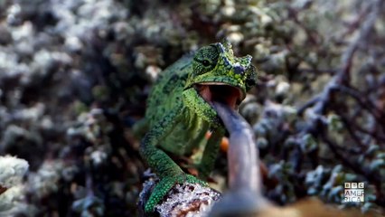 Frozen Planet II Trailer OV