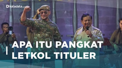 Warga Sipil Bisa Jadi TNI, Apa Itu Pangkat Letkol Tituler