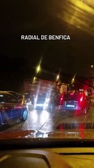 Discover the Inspiring Journey of Inês Lopes Gonçalves ✨