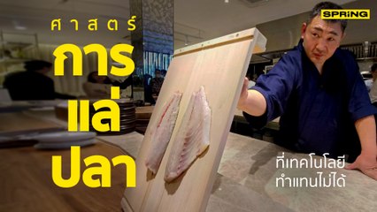 Naoki Maeda ปรมาจารย์แห่งการแล่ปลา ส่งตรงวิชาถึงไทยผ่าน Kouen Group | SPRiNG