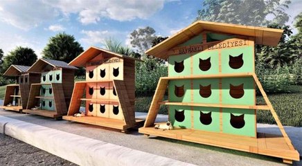 Bayraklı Belediyesinden sokak kedilerine sıcak yuva