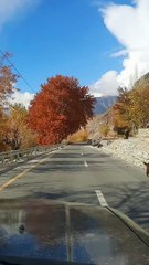 Autumn In North,Pakistan || Gilgitbaltistan View Autumn