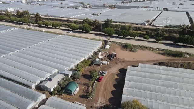 (DRON) Selden etkilenen tarım alanları havadan görüntülendi