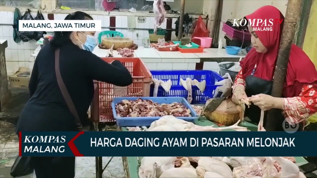 Harga Daging Ayam Di Pasaran Melonjak