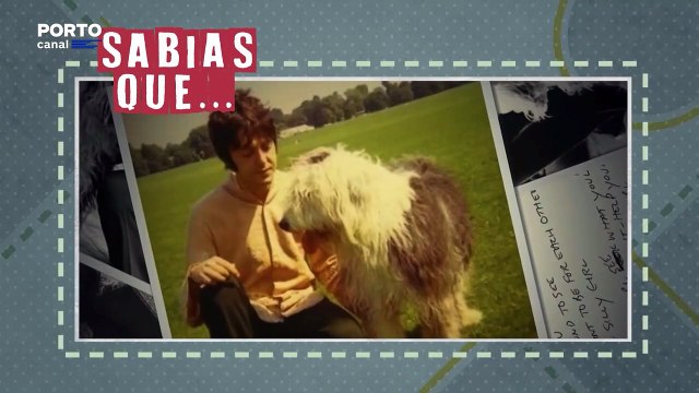 Veterinários Todo-o-Terreno - Sabias Que? “ A música dos Beatles, “Martha, my dear” foi escrita para ser dedicada à sua SheepDog Martha.