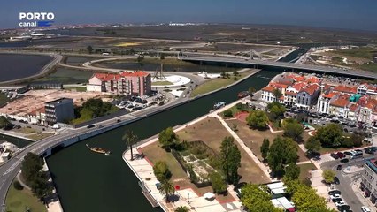 Planeta Verde  - Fiscalização Ambiental