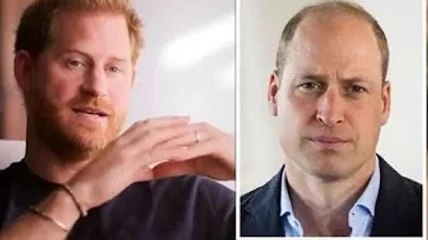La faille royale explose alors que le prince Harry affirme "qu'ils étaient heureux de mentir" pour "