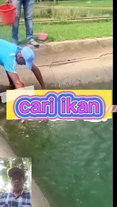 Dapat ikan di pinggiraan