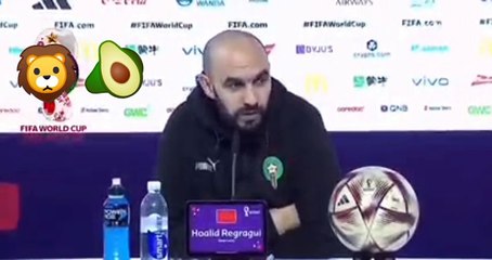 Le Maroc se battra pour réaliser le rêve «fou» de la Coupe du monde – le patron Walid Regragui