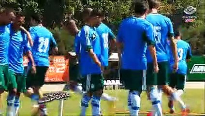 Tranquilo, Palmeiras viaja até Belo Horizonte para pegar América-MG