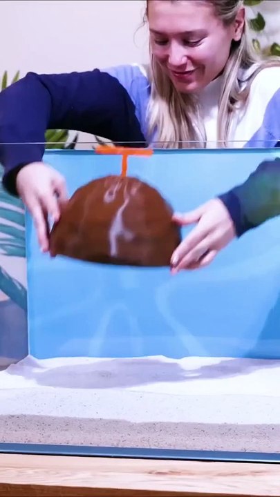Bikini_Bottom_in_a_Fish_Tank__