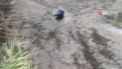 Balık yakalarken beline kadar çamura saplandı