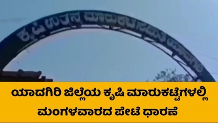 ಯಾದಗಿರಿ: ಹತ್ತಿ-ಭತ್ತದೊಂದಿಗೆ ಜೋಳದ ರೇಟ್ ಬಗ್ಗೆ ಮಾಹಿತಿ