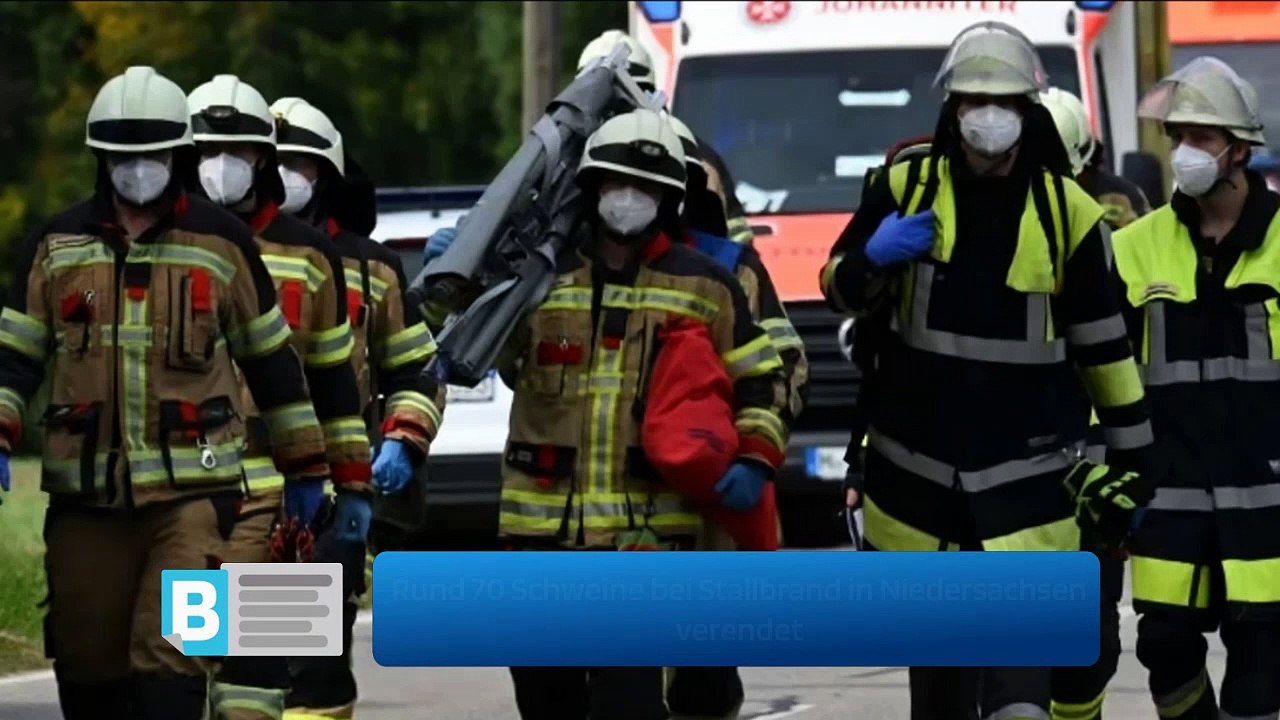 Rund 70 Schweine bei Stallbrand in Niedersachsen verendet