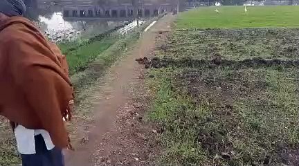 तलवाड़ा : खेतों में भरा पानी, किसानों का आक्रोश