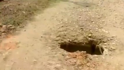 चुरहट :रोड में खाई नुमा गड्ढा नहीं हो रहा सुधार कार्य ,ग्रामीणों को हो रही परेशानी.....