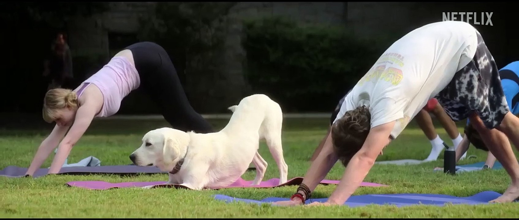 Dog Gone Bande-annonce VO
