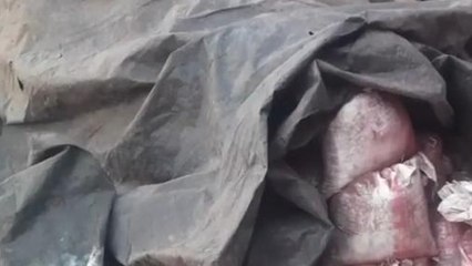 चित्तौड़गढ़: हिंदुस्तान जिंक से चोरी मामले में सात दिन बाद भी पुलिस के हाथ खाली, देखें खबर