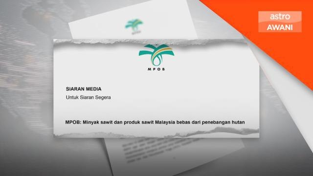 Kesatuan Eropah | MPOB bimbang EU haramkan produk import termasuk minyak sawit