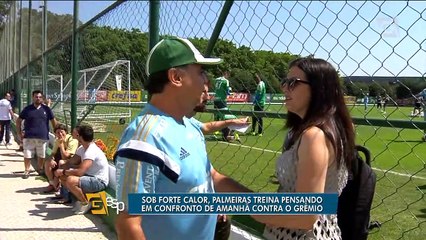 Sob forte calor, Palmeiras treina pensando em confronto de amanhã contra o Grêmio