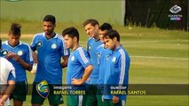 Após empate em Minas, Palmeiras já pensa no Avaí